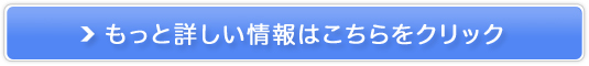 dLO̐VT|[giydKz̔TCg
